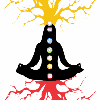 7 chackras