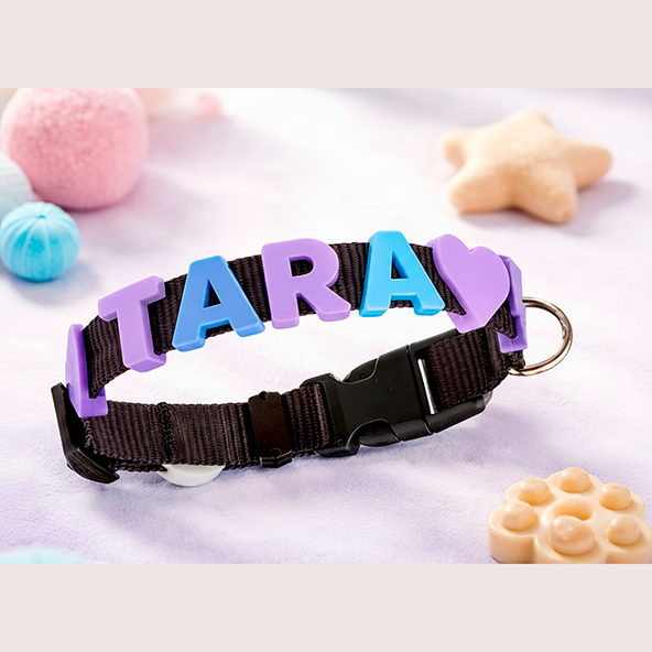 Collares Personalizados para Tu Mascota